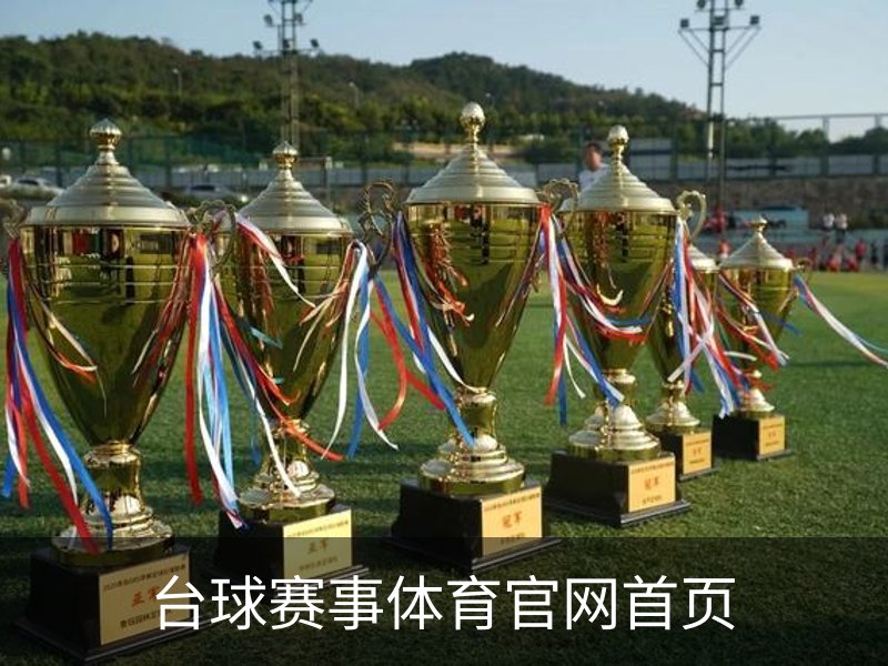台球赛事体育官网首页概况